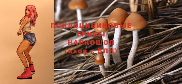 стаф Алексеевка