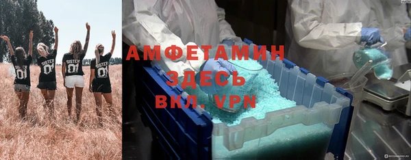 метадон Алексин