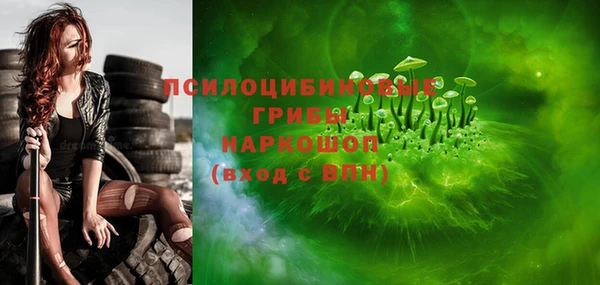 метадон Алексин
